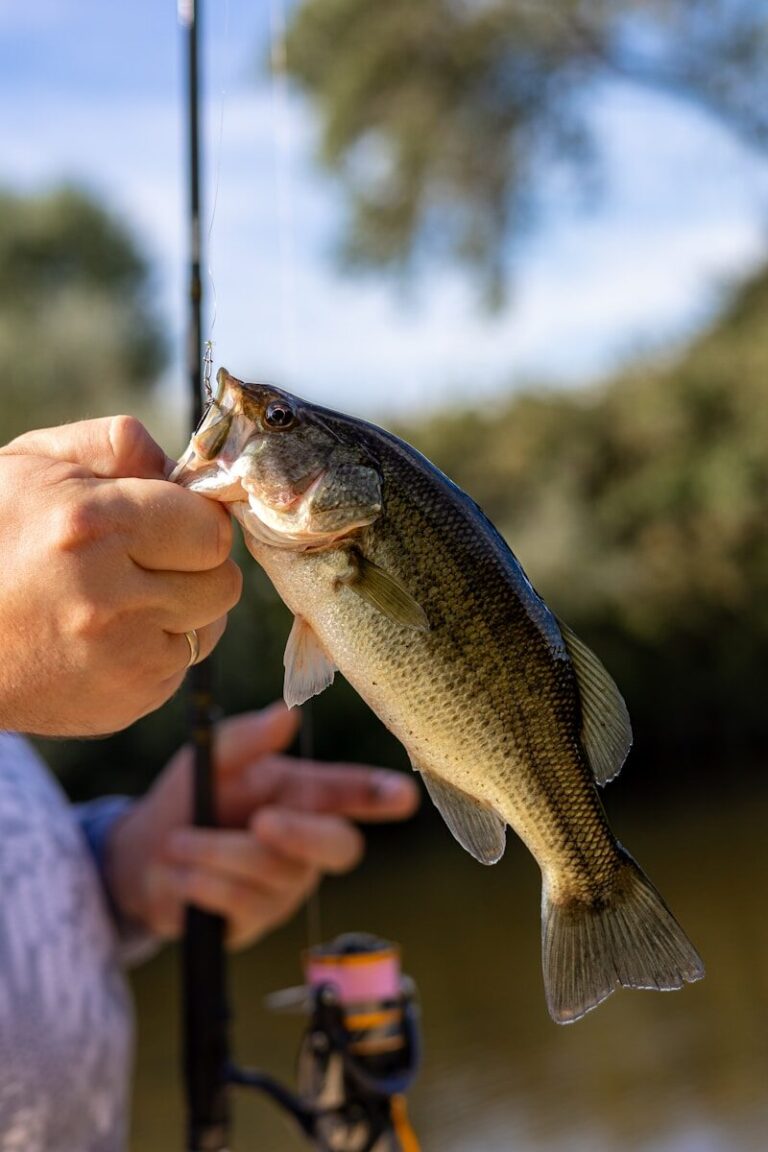 A man holding a fish on a fishing rod